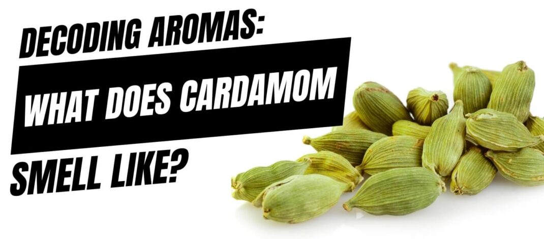 What Does Cardamom Smell Like