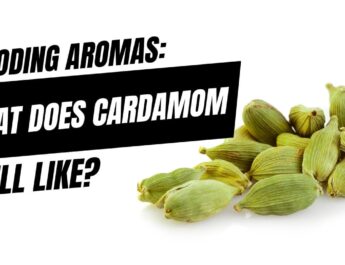 What Does Cardamom Smell Like