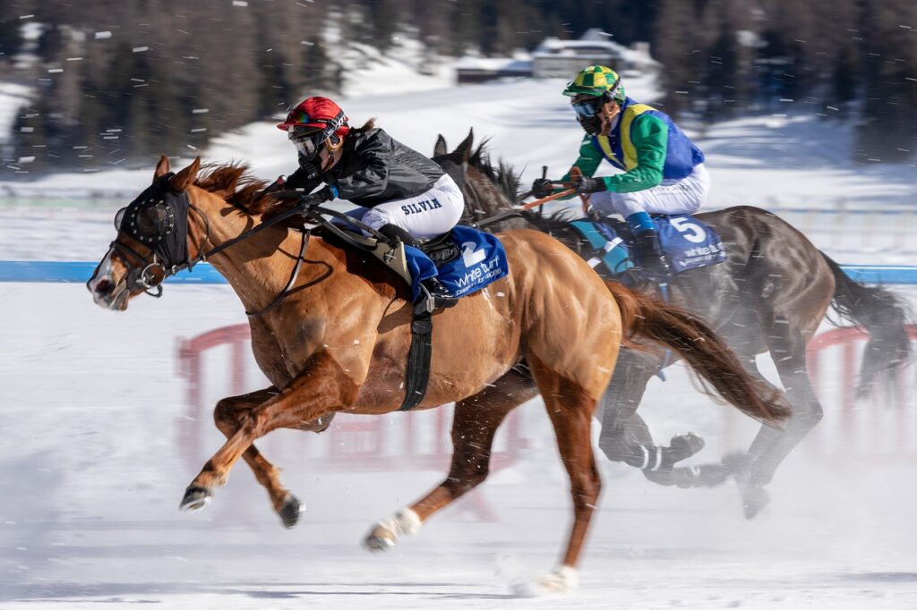 How Fast Can a Horse Run