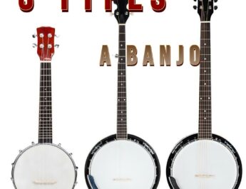 How Many Strings Does a Banjo Have