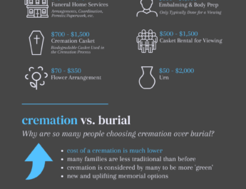 How Much Does Cremation Cost Without Services