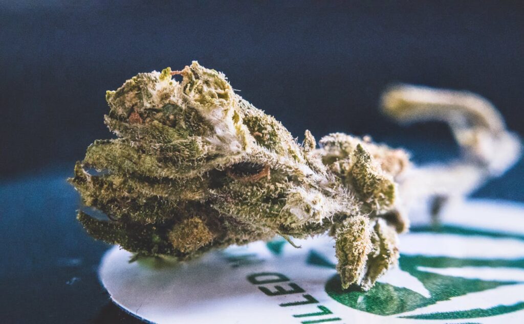 How Long Does THCA Stay in Your System